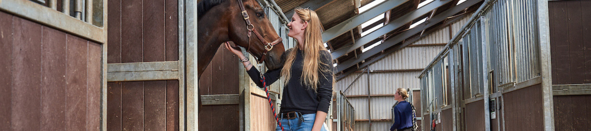 paardenplaats pensionstal