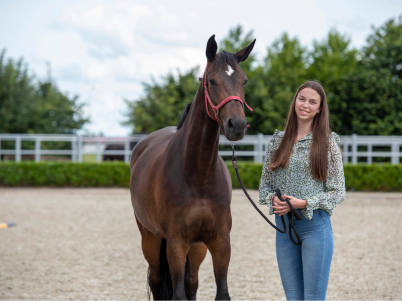 International Equine Business Management