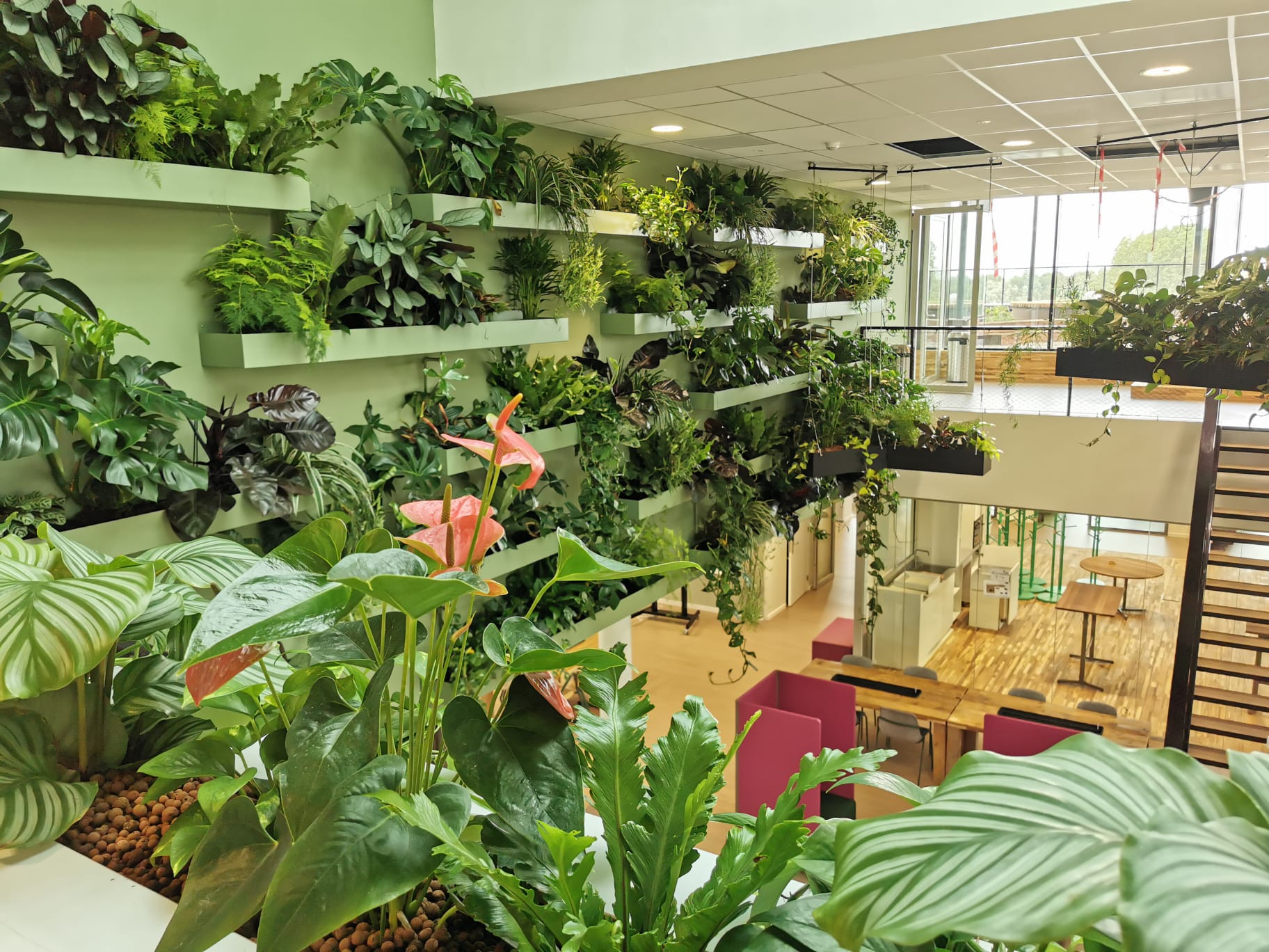 binnen overzicht groene wand