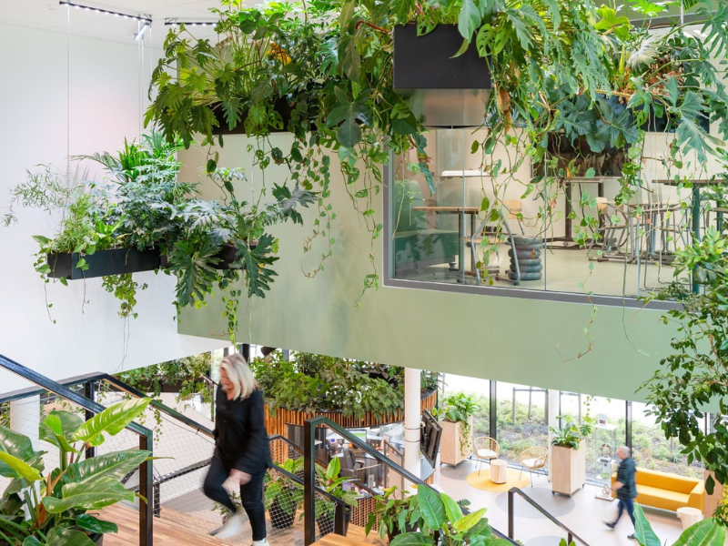 Aeres Hogeschool Almere