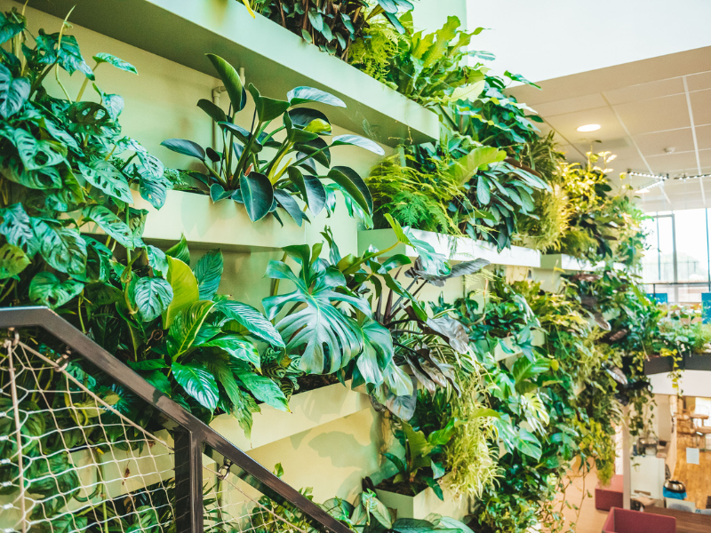 Aeres Hogeschool Almere