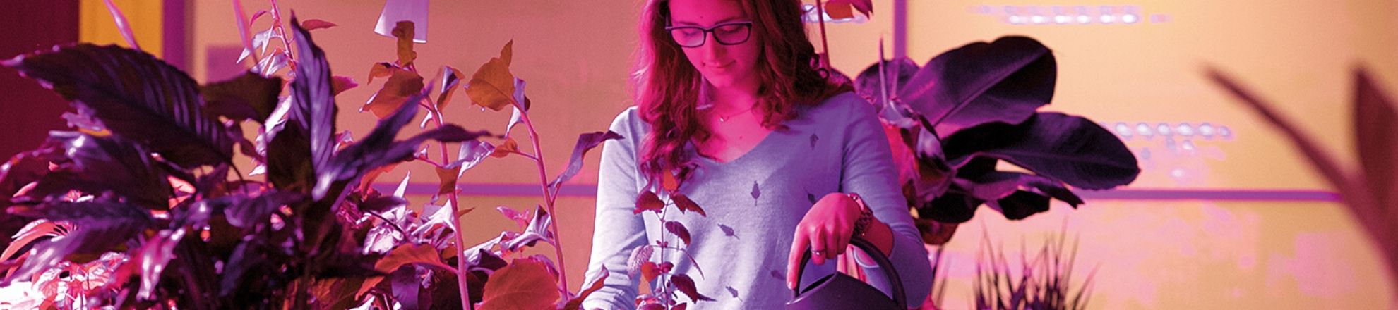 Aeres Hogeschool Almere student in kweekruimte