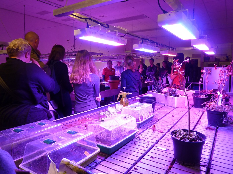 Open dag Almere kweekruimte