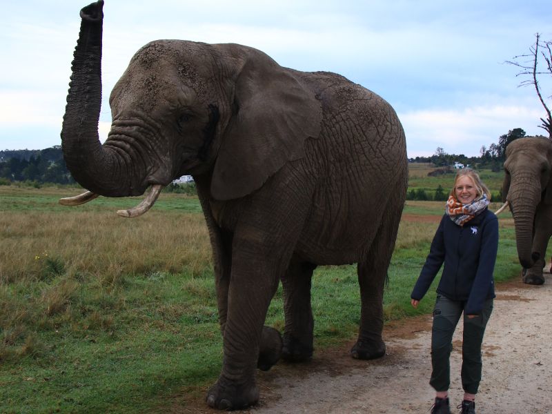saskia ploeg met olifanten