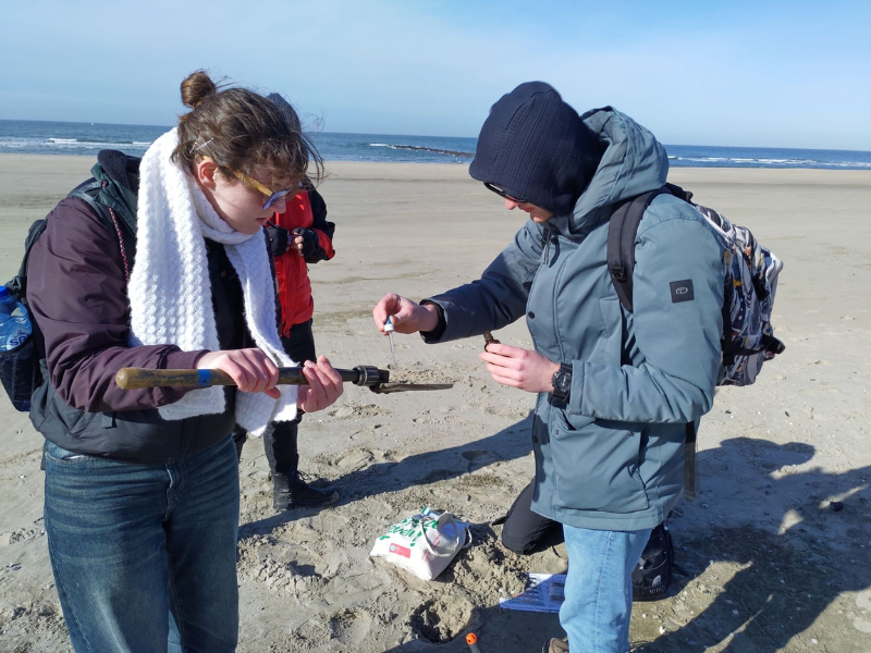 Studenten doen onderzoek op het strand voor de studie Aarde en Klimaat