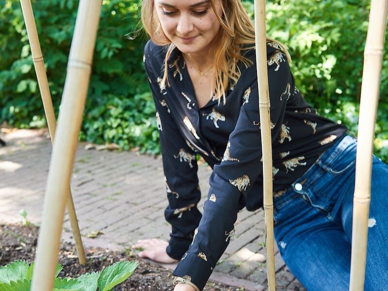 Student met aardbeienplant