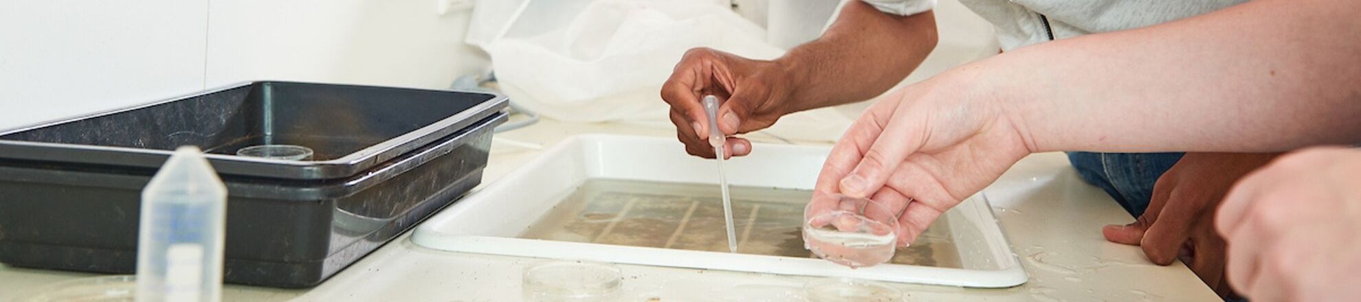 Onderzoek laboratorium petrischaaltje student natuur Aeres Hogeschool Almere