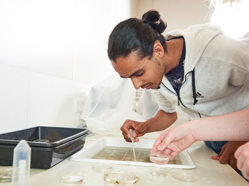 student in laboratorium onderzoek Aeres Hogeschool Almere