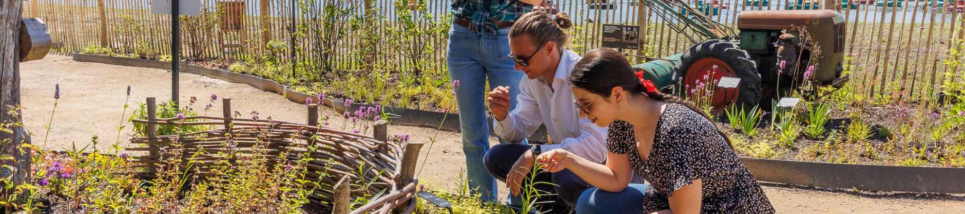 Studenten in tuin | Gastronomie en ondernemerschap | Aeres Hogeschool Almere