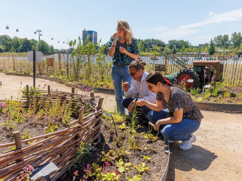 Studenten in tuin | Gastronomie en ondernemerschap | Aeres Hogeschool Almere