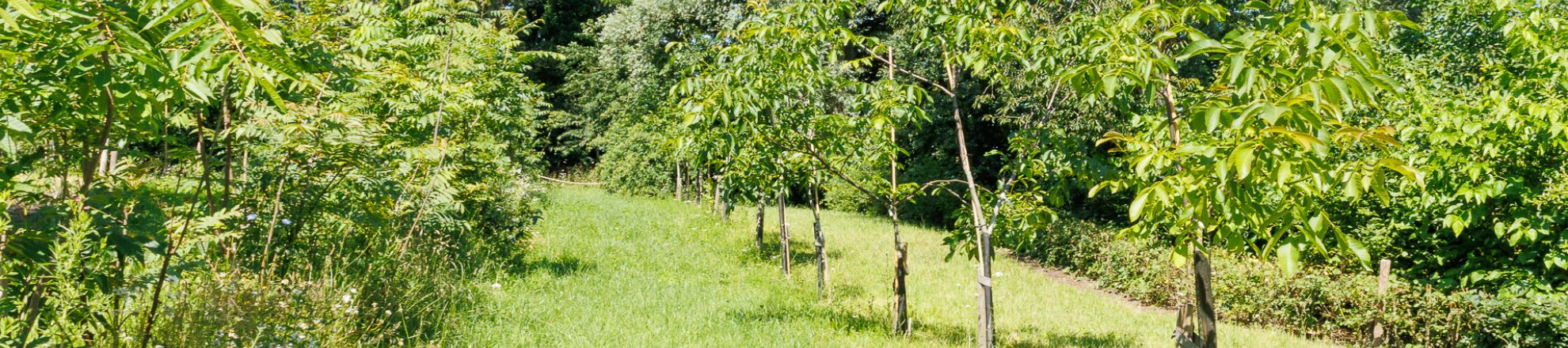 Groen | Toegepaste biologie | Aeres Hogeschool Almere