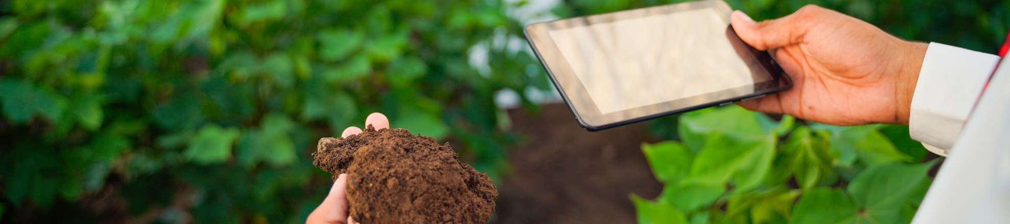 Opleiding Bodemcoaches Aeres hogeschool Dronten