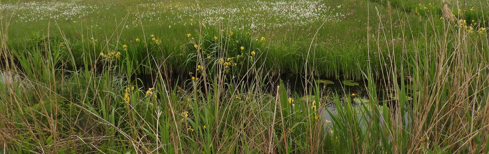 Natuurboeren dwarsgracht