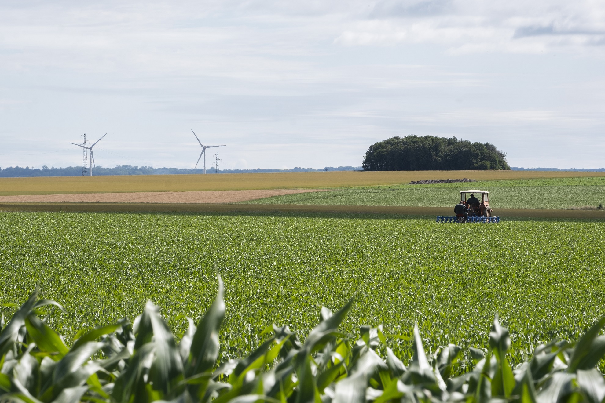 Scholings en coachingsprogramma Stikstof in de landbouw