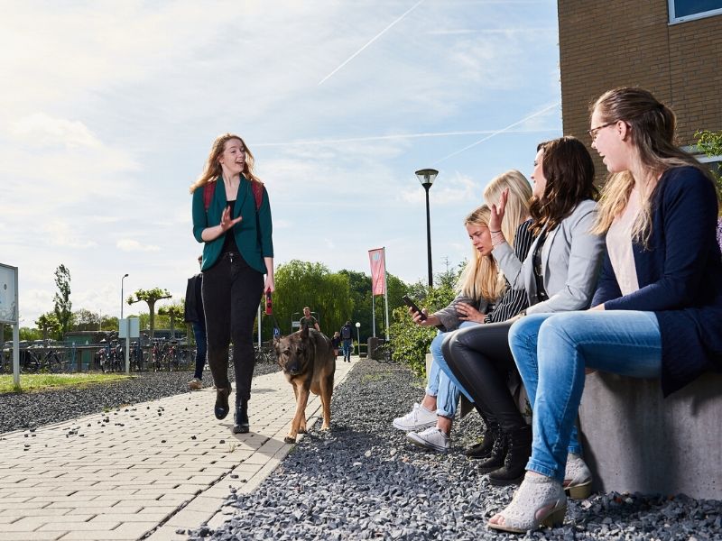 Diergezondheid en management Aeres Hogeschool Dronten