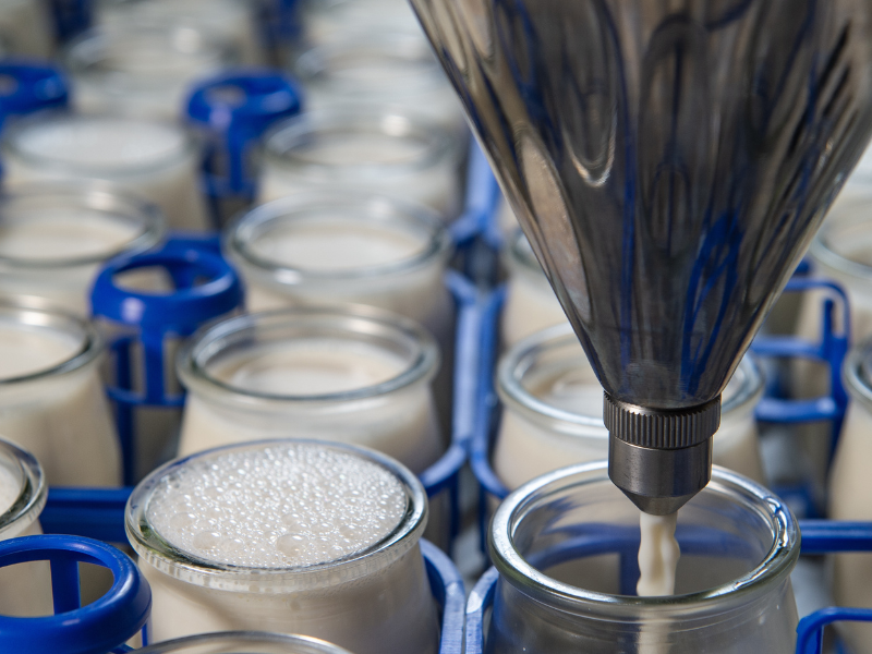 International food business Aeres Hogeschool