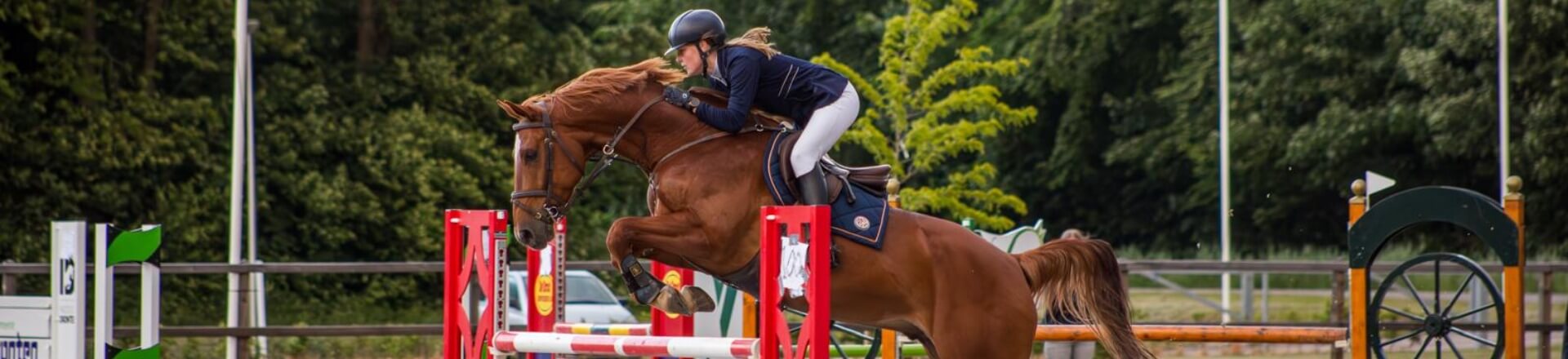 aeres equine experience evenement