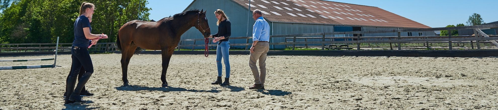 Paardenplaats pensionstal Hippische bedrijfskunde Aeres Hogeschool Dronten