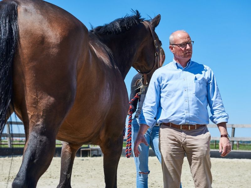 Hippische bedrijfskunde Aeres Hogeschool Dronten