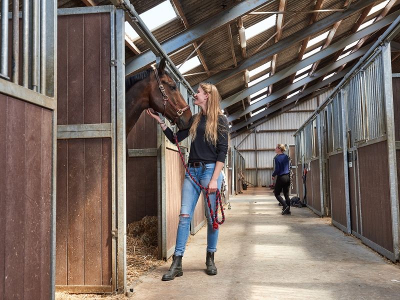 Vrouwelijke student met paard in de stallen van de paardenplaats van Aeres Hogeschool Dronten