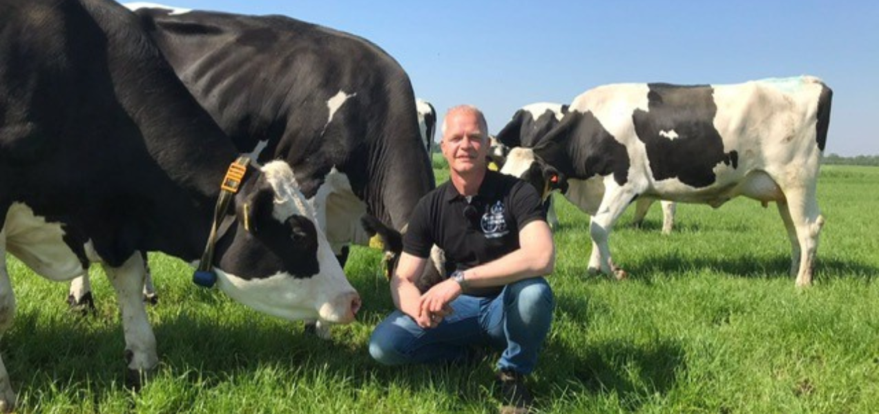 Frank post coördinator Aeres Kadercursus Melkveehouderij in weiland tussen koeien