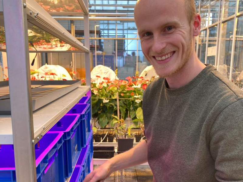 Rico van Assen, stagiair bij lectoraat Circulair ondernemen in de agri en food business, doet onderzoek in de kas