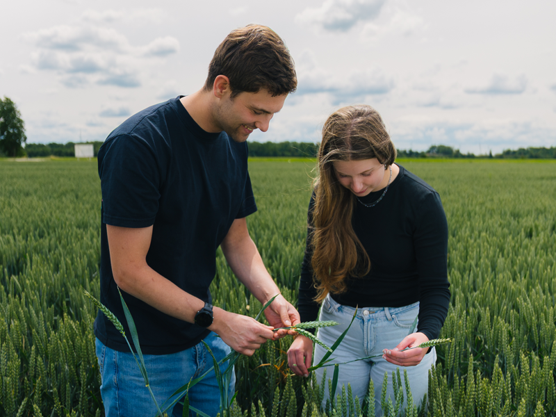 Ad Agrarisch ondernemerschap Tuinbouw en Akkerbouw