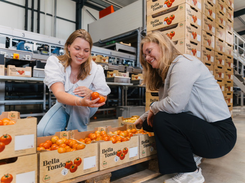 2 studenten bedrijfskunde en agrifoodbusiness met tomaten