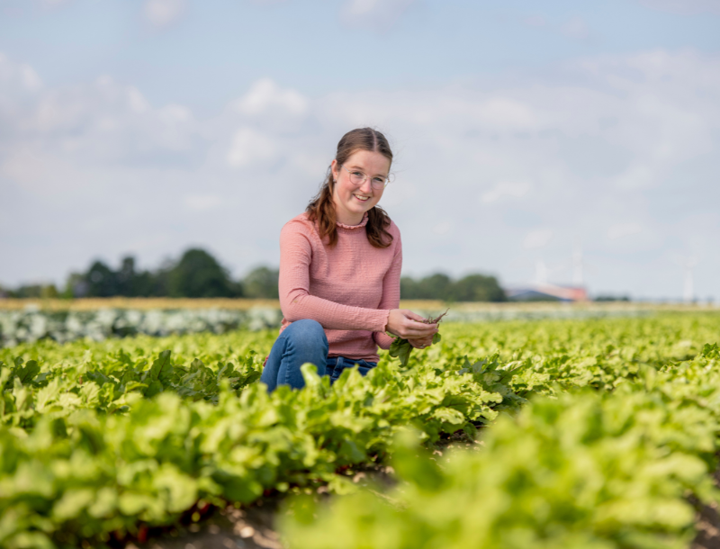 Associate degree voltijd opleiding Agrarisch ondernemerschap Tuinbouw en akkerbouw Aeres Hogeschool Dronten