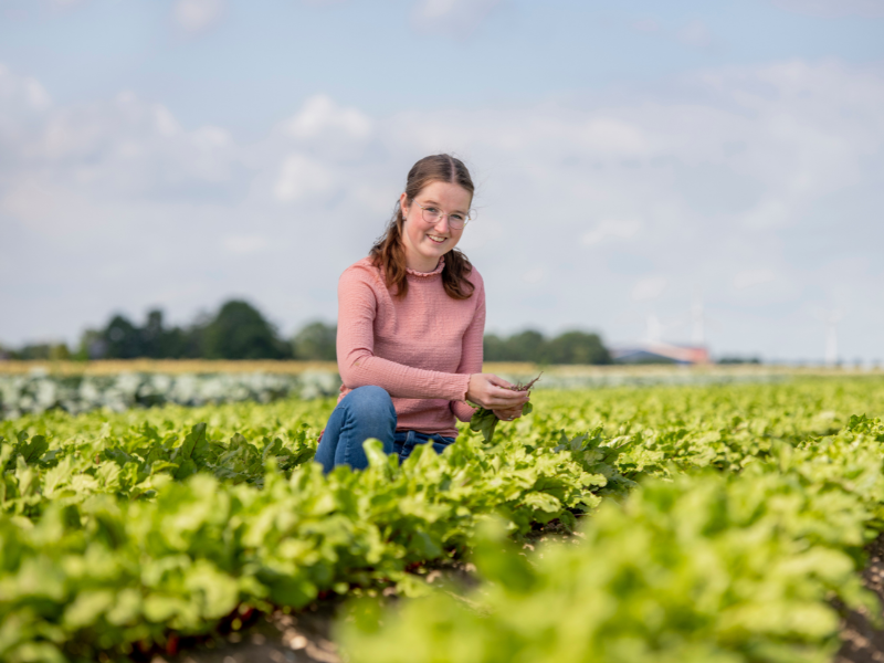Associate degree voltijd opleiding Agrarisch ondernemerschap Tuinbouw en akkerbouw Aeres Hogeschool Dronten