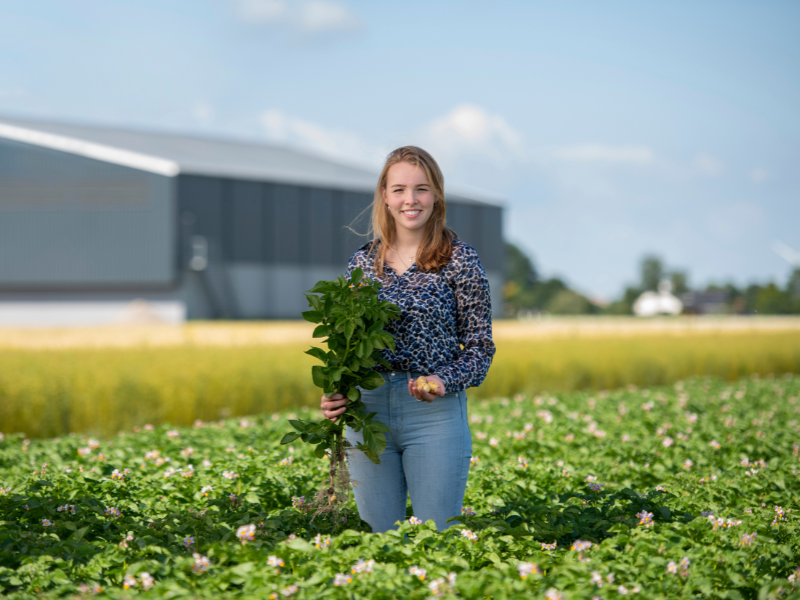Bachelor voltijd opleiding Agrarisch ondernemerschap Tuinbouw en akkerbouw Aeres Hogeschool Dronten
