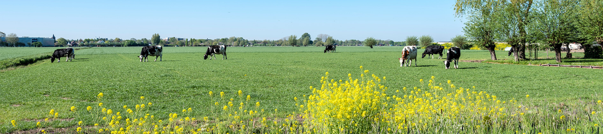 Cursus Natuurinclusief Ondernemen