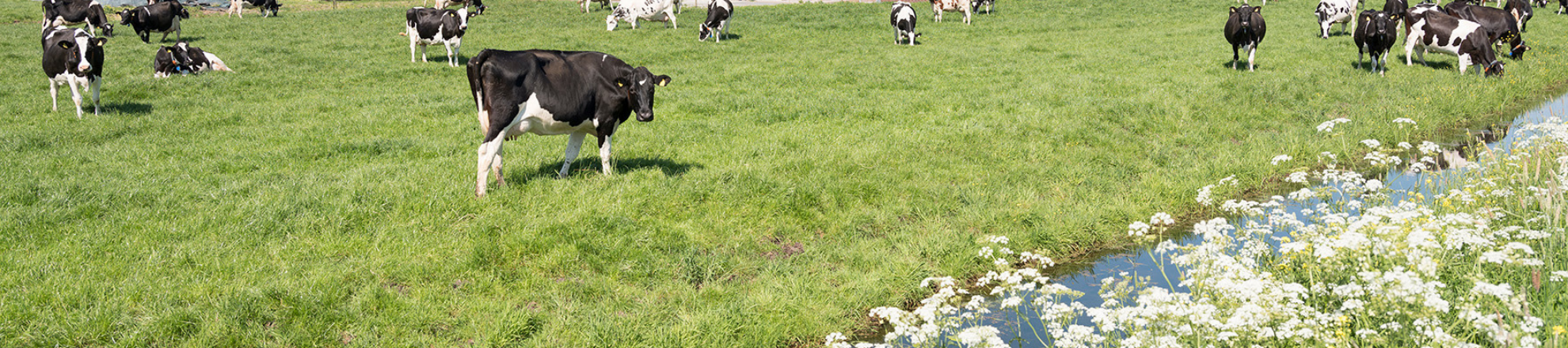 Natuurinclusief Ondernemen