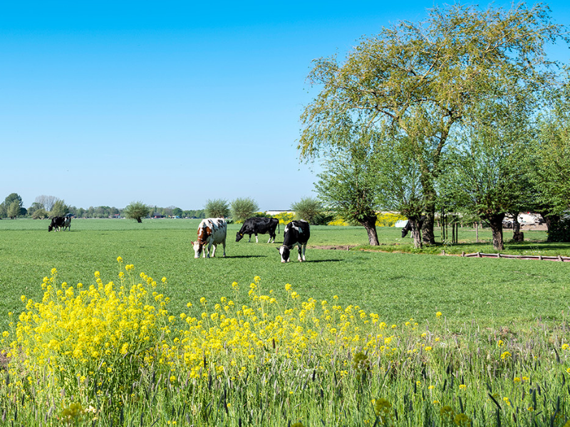 Cursus Natuurinclusief Ondernemen