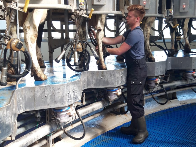 Jort Koopman student