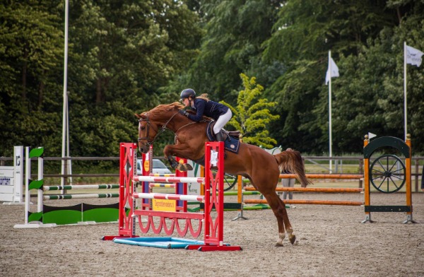 Aeres Equine Experience 