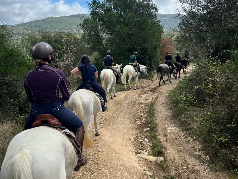 Lara en Sara studenten Hippische Bedrijfskunde semester in Coimbra