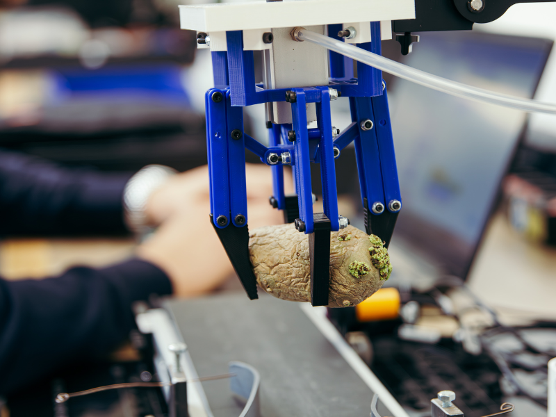 Elektronische aardappel grijper / sorteerder heeft een aardappel vast