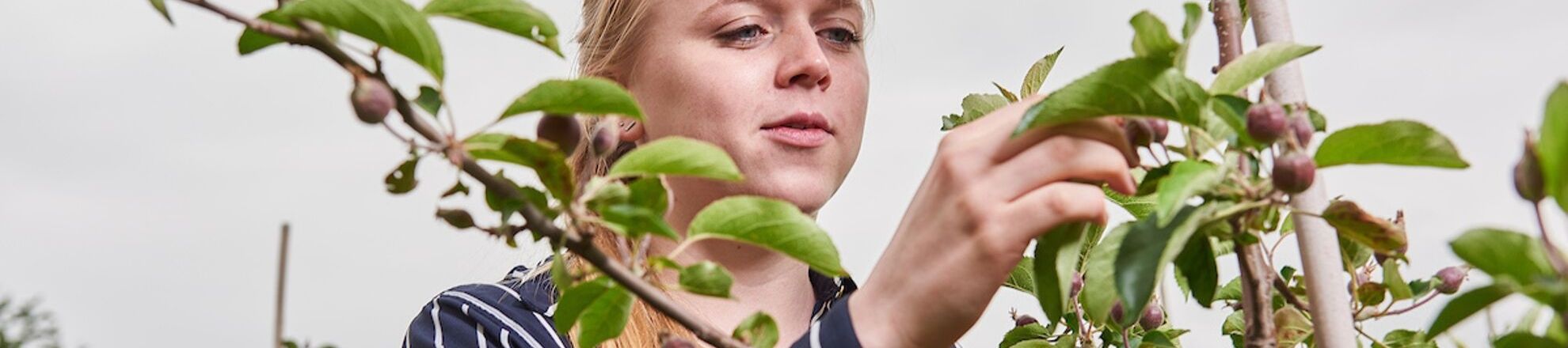 student tuinbouw met jong boompje buiten aeres hogeschool dronten