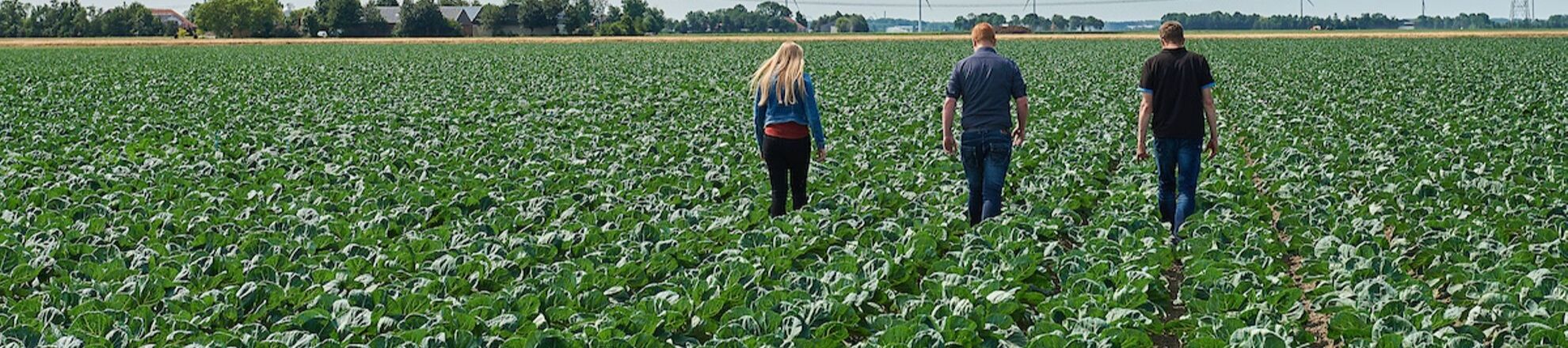 Studenten tuinbouw akkerbouw buiten veld