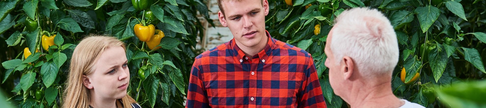 hbo studie Tuinbouw en akkerbouw tuin en akkerbouw Aeres Hogeschool Dronten