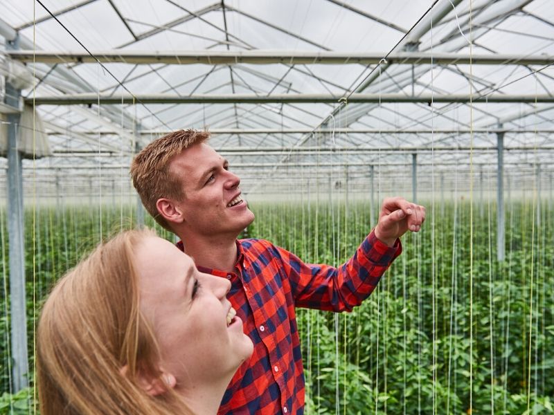 hbo studie Tuinbouw en akkerbouw tuin en akkerbouw Aeres Hogeschool Dronten