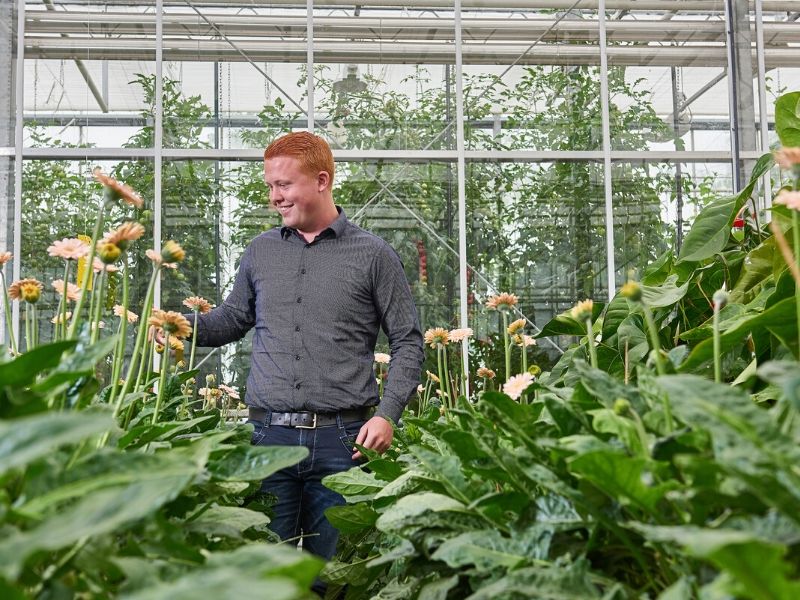 hbo studie Tuinbouw en akkerbouw tuin en akkerbouw Aeres Hogeschool Dronten