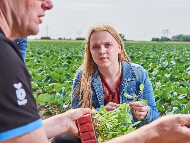 hbo studie Tuinbouw en akkerbouw tuin en akkerbouw Aeres Hogeschool Dronten