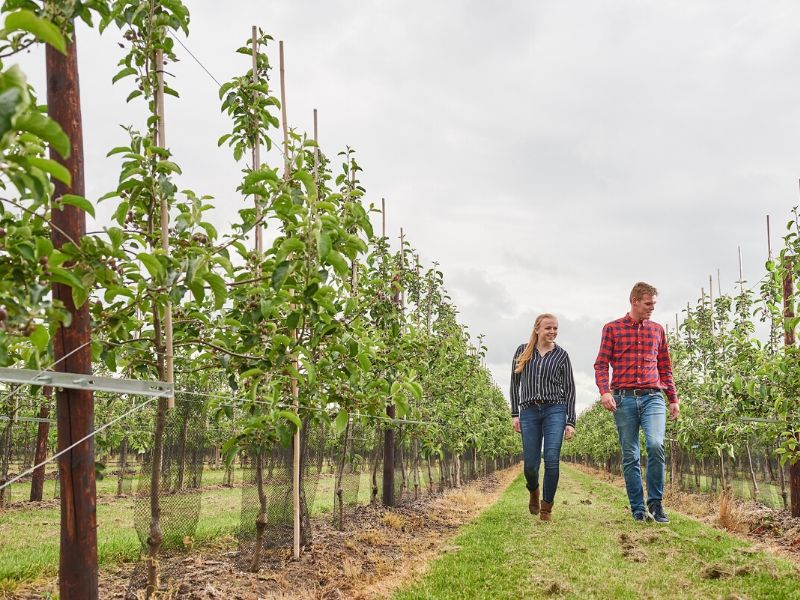 hbo studie Tuinbouw en akkerbouw tuin en akkerbouw Aeres Hogeschool Dronten