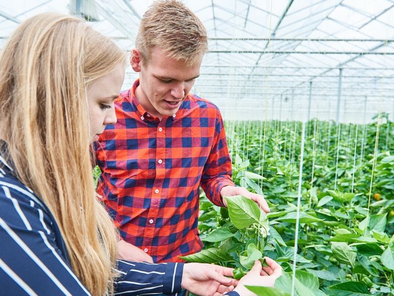hbo studie Tuinbouw en akkerbouw tuin en akkerbouw Aeres Hogeschool Dronten