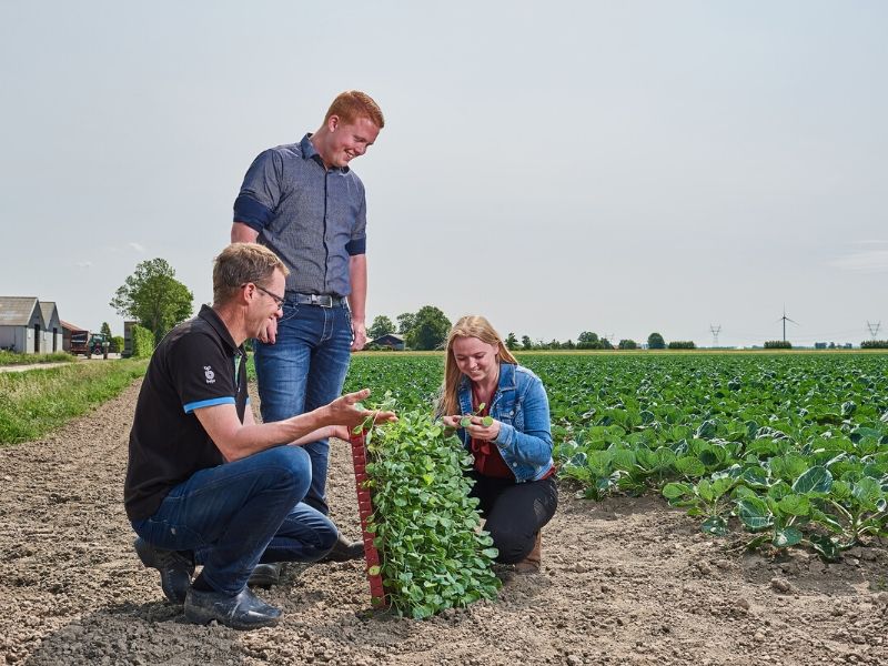 hbo studie Tuinbouw en akkerbouw tuin en akkerbouw Aeres Hogeschool Dronten