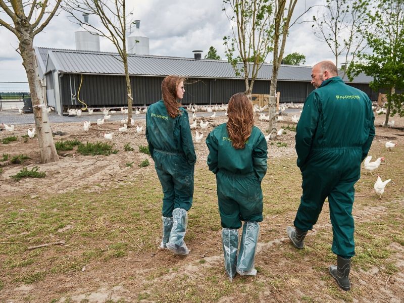 hbo studie Varkens en pluimveehouderij Aeres Hogeschool Dronten