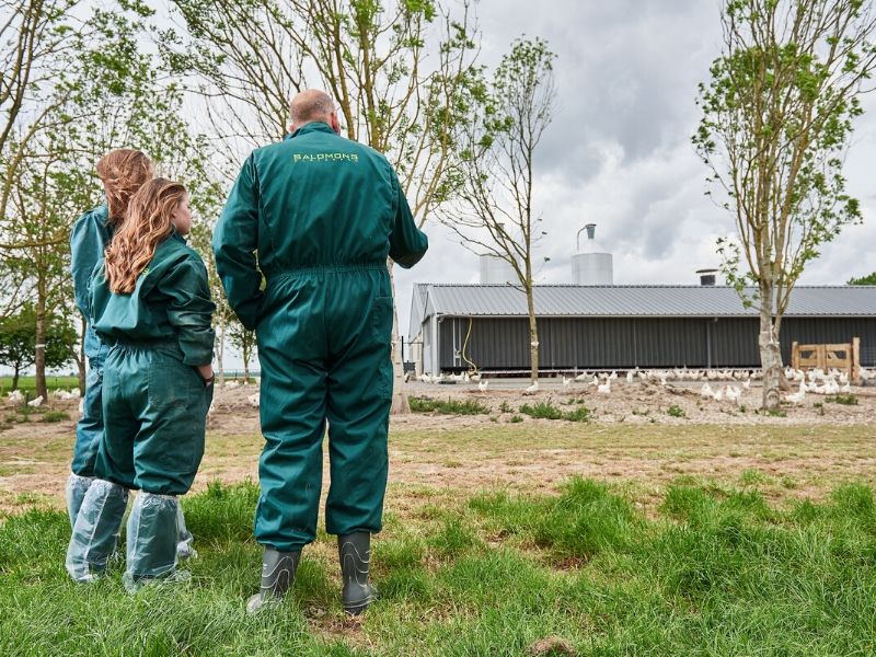 hbo studie Varkens en pluimveehouderij Aeres Hogeschool Dronten