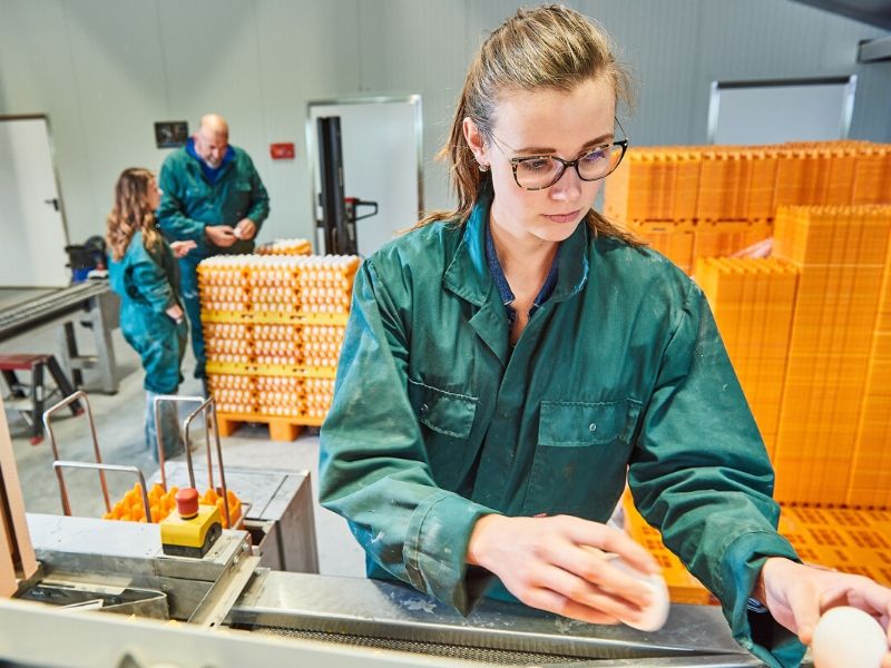 hbo studie Varkens en pluimveehouderij Aeres Hogeschool Dronten